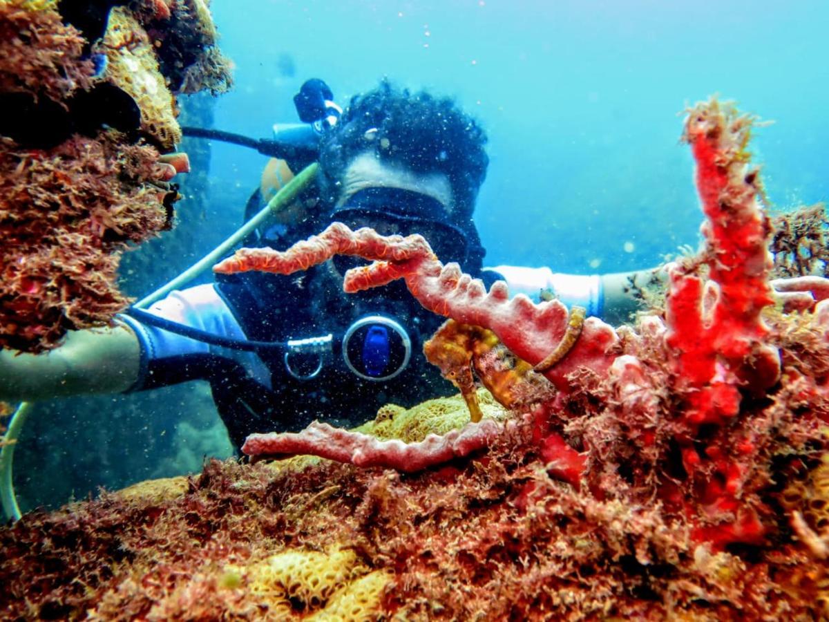 Pousada E Mergulho Dolce Vita Praia Vermelha  Exteriör bild